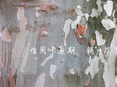 信用卡逾期 销户了怎么办理 信用卡逾期 销户了怎么办理